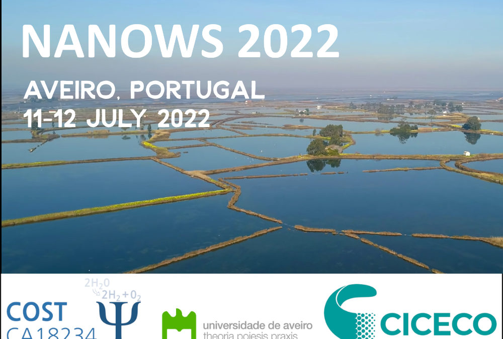 NANOWS 2022